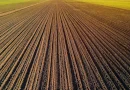 1.835 ha Fermă operațională și teren agricol (Vestul României)
