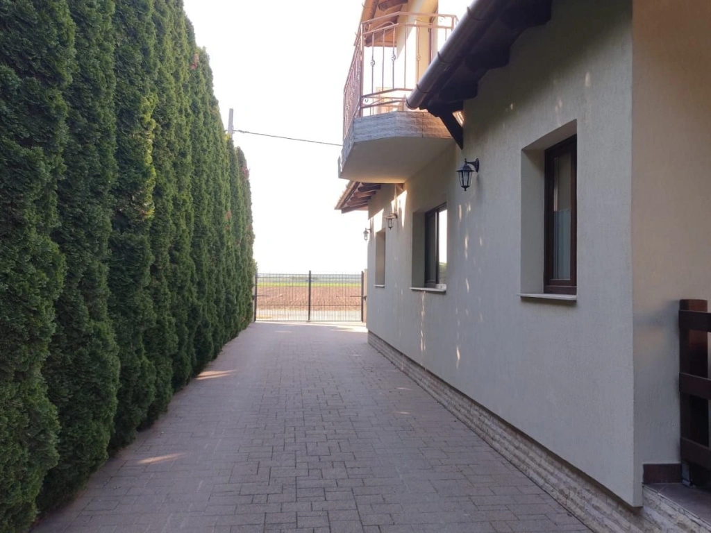 BRASADAS vinde vila 5 cam 190mp teren 10 ari str. Dara.