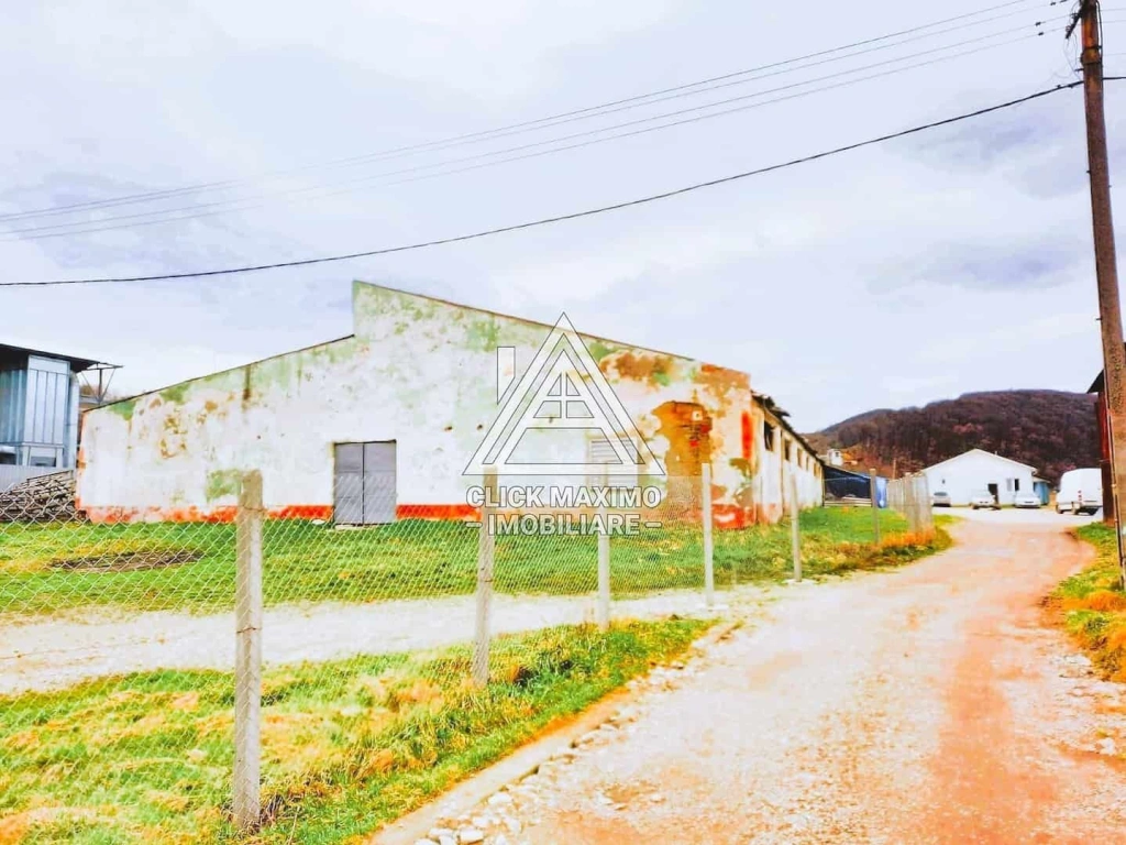 770 mp HALA TIP AVICOLA si 1390 mp TEREN INTRAVILAN, BECLEAN-BISTRITA