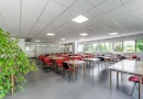 Oportunitate: Hală de producție și depozitare cu birouri în Arad