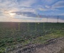 Zona industriala Freidorf. 4.345 mp. Timisoara