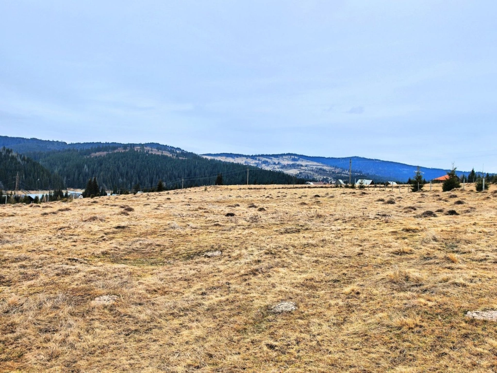 TEREN CU VEDERE LA LAC, 5959 MP Statiunea Turistica Montana BELIS-CLUJ