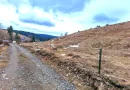 8.263 mp Teren cu Pârâu și Izvoare în Beliș-Fântânele, Cluj