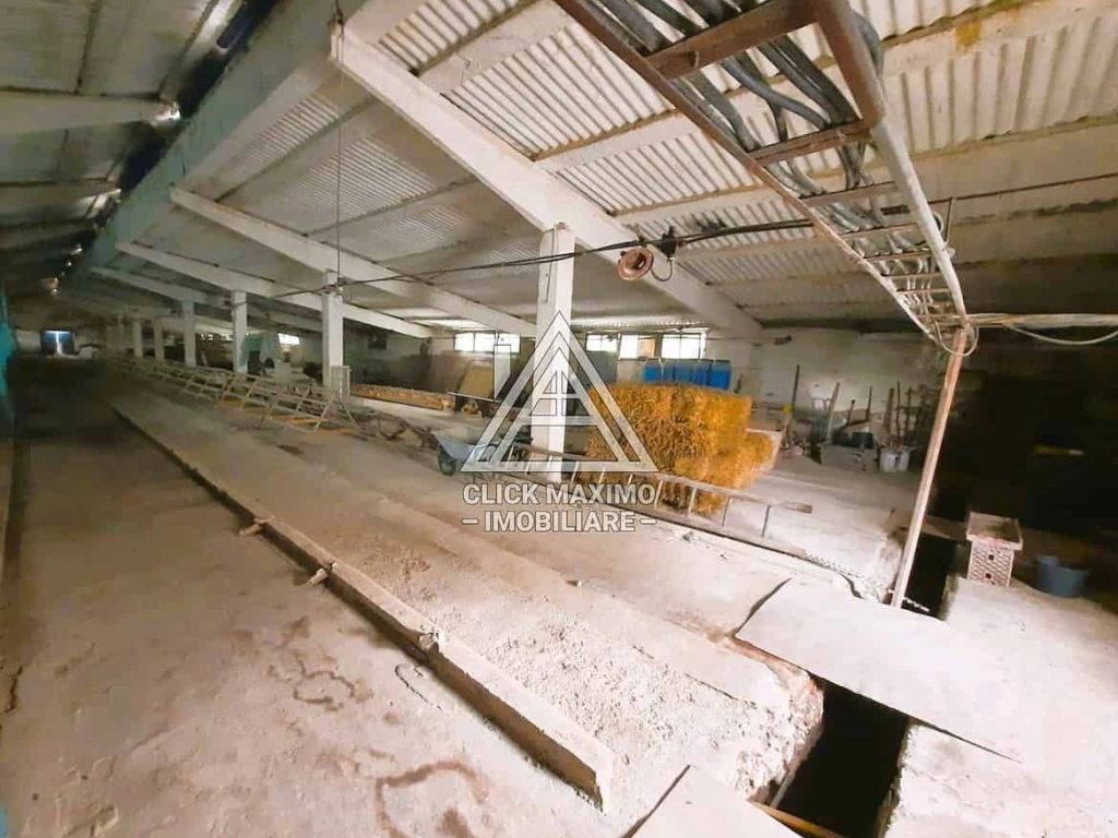 770 mp HALA TIP AVICOLA si 1390 mp TEREN INTRAVILAN, BECLEAN-BISTRITA